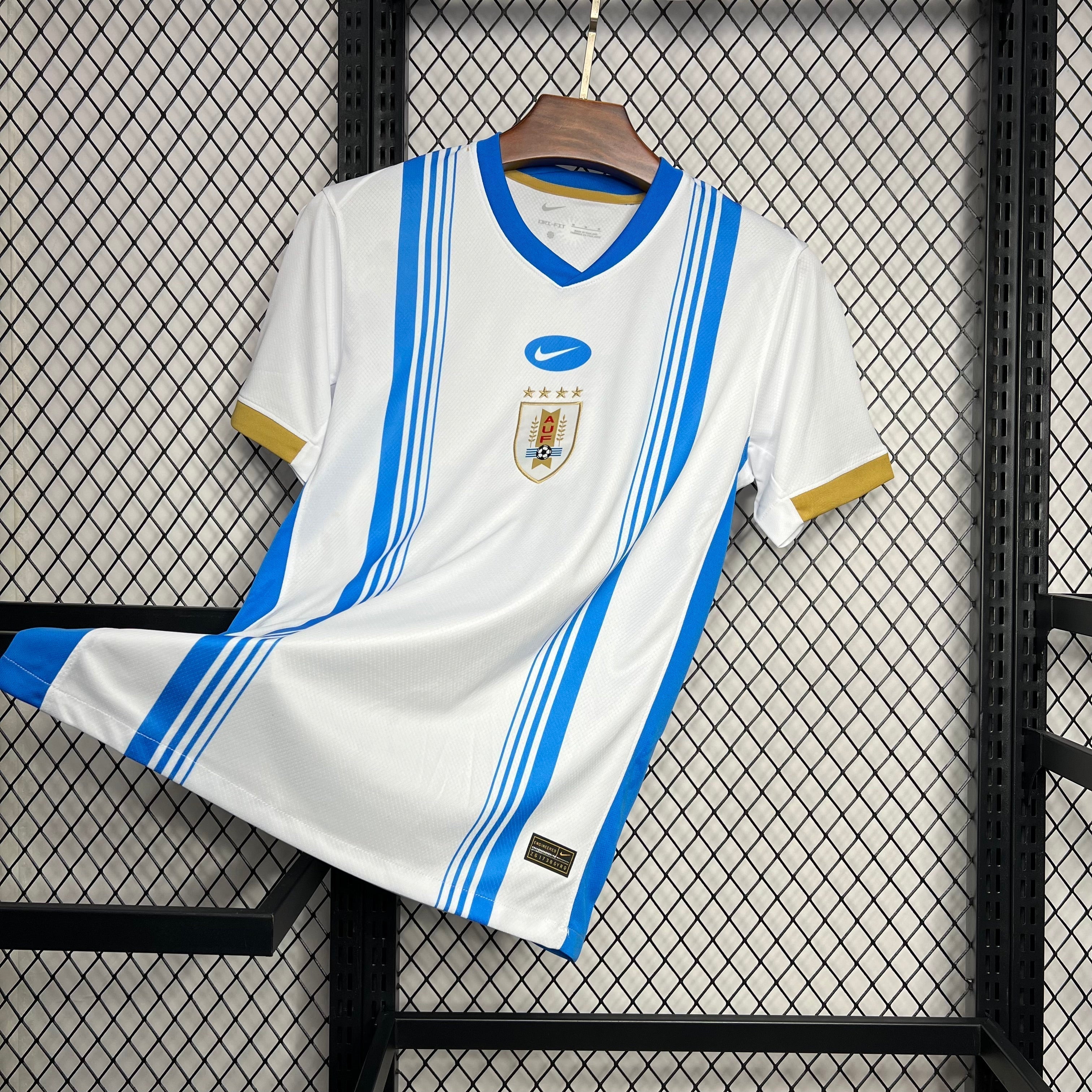 Camisa Uruguai Treino 24/25 - Versão Torcedor