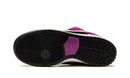 Nike SB Dunk Low ACG Terra Red Plum