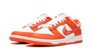 Nike Dunk Low Orange Paisley