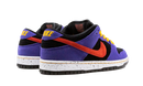 Nike SB Dunk Low ACG Terra