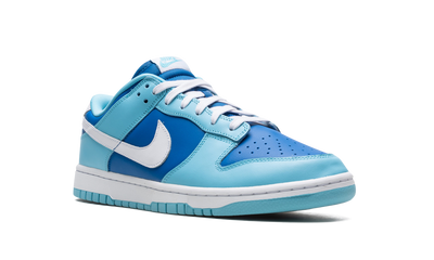 Nike Dunk Low Retro Argon